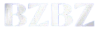 bzbz.com
